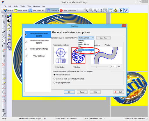 Set vectorization options